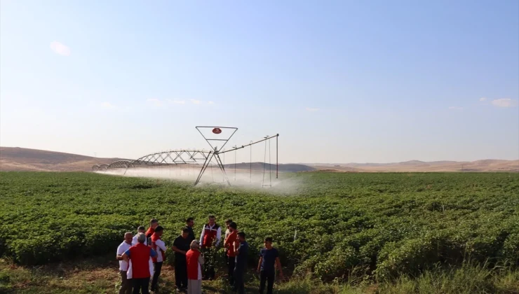 Şanlıurfa’da Üreticilere Ücretsiz Ziraatçı Desteği